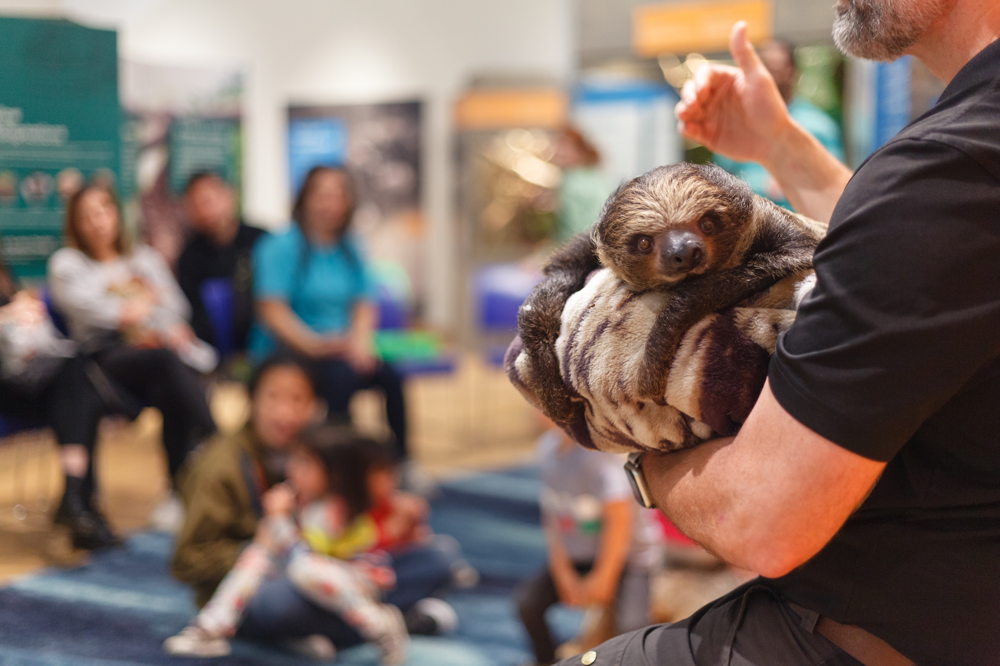 Survival of the Slowest - Brooklyn Children's Museum Survival of the Slowest - Brooklyn Children's Museum