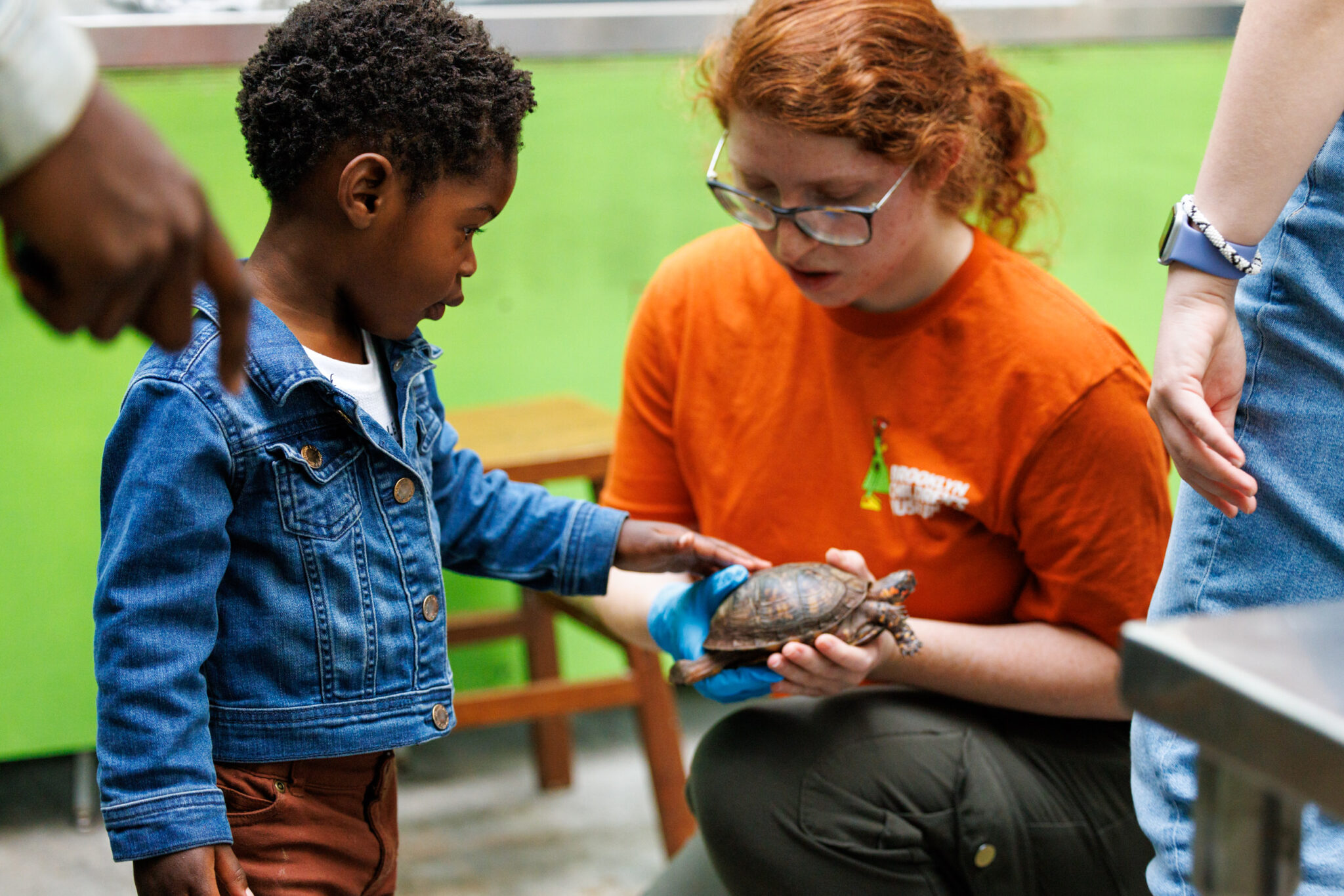 child touching a turtle at the Brooklyn Children's Museum